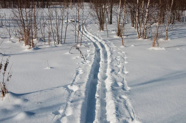 Single Ski Track Country — стоковое фото