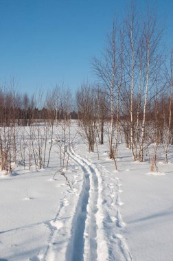 Ormanda tek bir kayak pisti, güneşli bir kış günü
