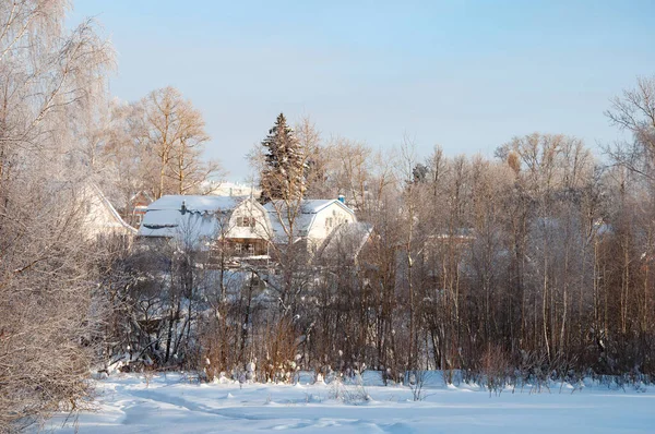 Landhuizen Achter Besneeuwde Bomen Russisch Dorp Winterlandschap — Stockfoto