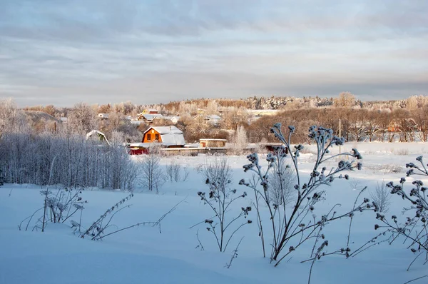 乡间冬季风景 远处针叶林 阳光明媚的冬日 — 图库照片