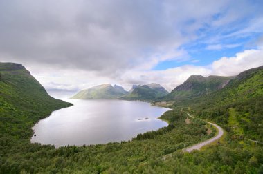 Norveç Fiyordu kıyısında