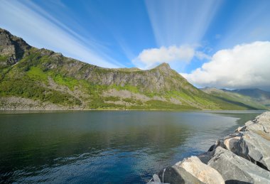 Norveç Fiyordu kıyısında