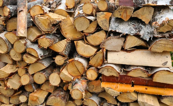 Dry firewood in a pile — Stock Photo, Image