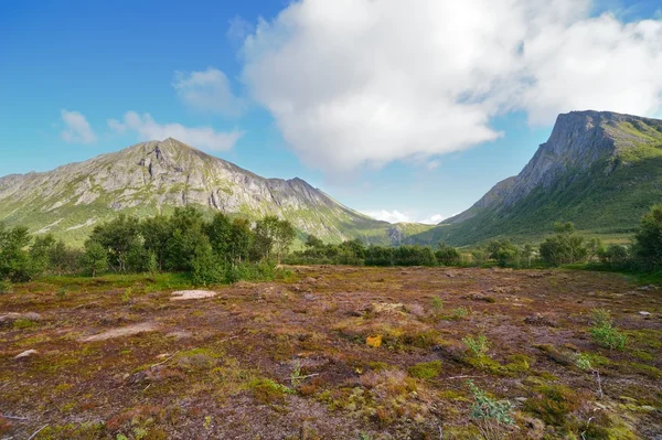 Paesaggio montano norvegese — Foto Stock