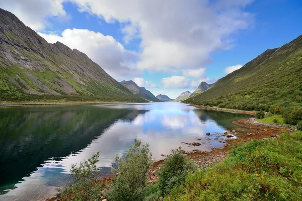 Norveç Fiyordu kıyısında — Stok fotoğraf