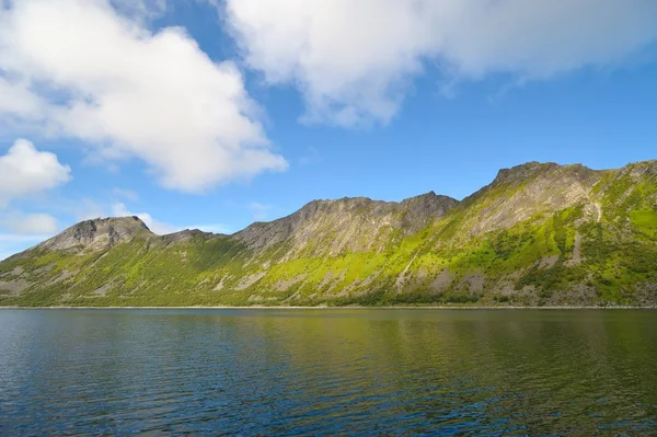 Fjord kyst i Norge - Stock-foto