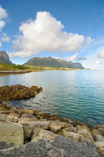 Берег фьорда в Норвегии — стоковое фото