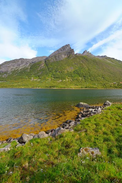 ノルウェーの山の風景 — ストック写真