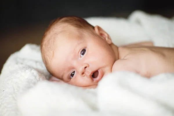 Newborn baby girl resting — Φωτογραφία Αρχείου