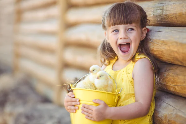 Маленькая девочка с цыплятами — стоковое фото