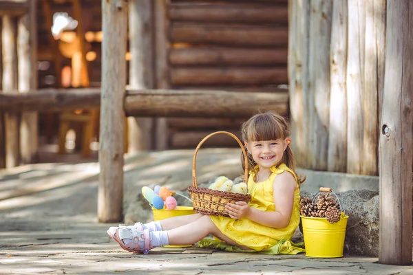 Little girl with chickens — Stock Photo, Image