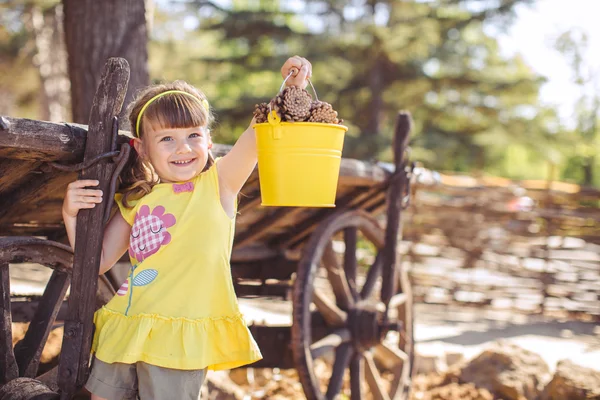 Маленькая девочка с цыплятами — стоковое фото