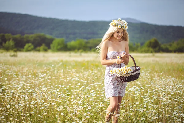 Attraktive Blondine im Kamillenfeld. junge Frau im Kranz — Stockfoto