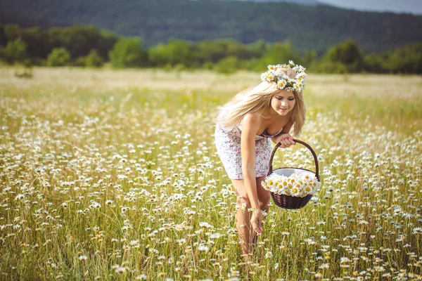Attraktiva blonde i kamomill fält. ung kvinna i krans — Stockfoto