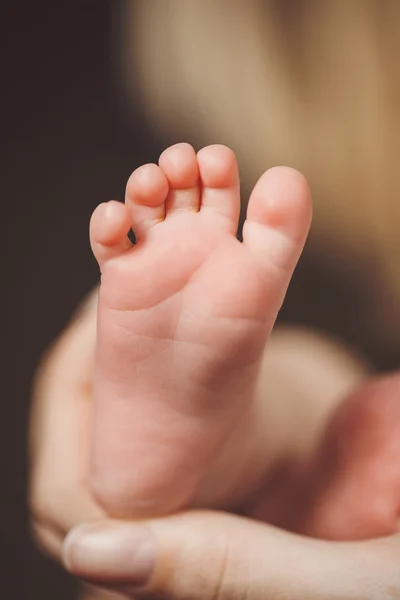 Bébé mains et pieds et mains Maman — Photo