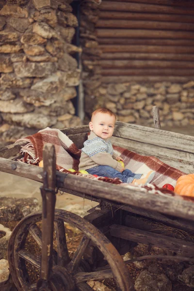 Маленький милый маленький мальчик сидит на улице осенью. Тыквы валяются повсюду — стоковое фото