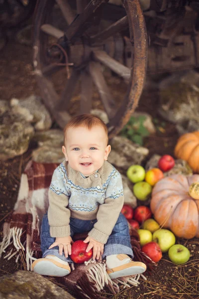 Jonge schattige kleine jongen buiten zitten in de herfst. pompoenen rond leggend — Stockfoto