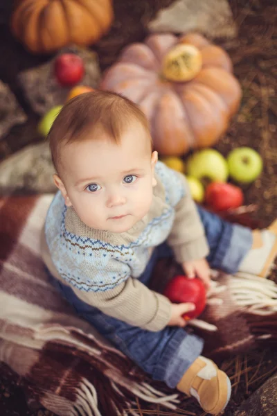 Jeune petit garçon mignon assis à l'extérieur en automne. Citrouilles traînant autour — Photo