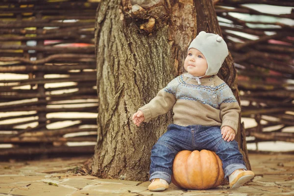 Jonge schattige kleine jongen buiten zitten in de herfst. pompoenen rond leggend — Stockfoto