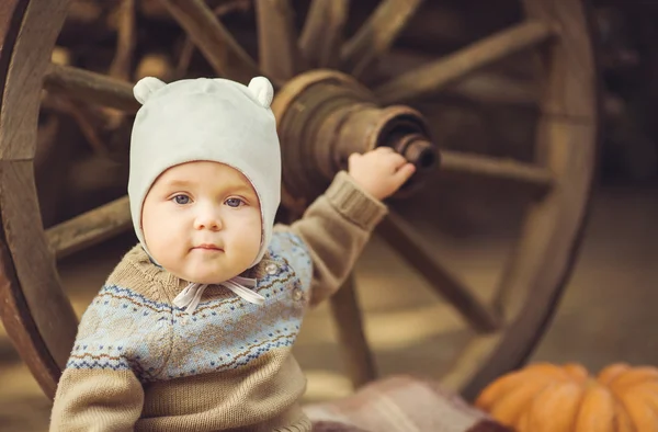 Jonge schattige kleine jongen buiten zitten in de herfst. pompoenen rond leggend — Stockfoto