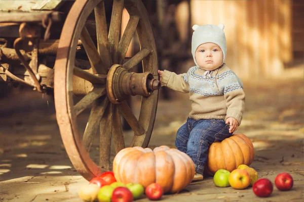 Маленький милый маленький мальчик сидит на улице осенью. Тыквы валяются повсюду — стоковое фото