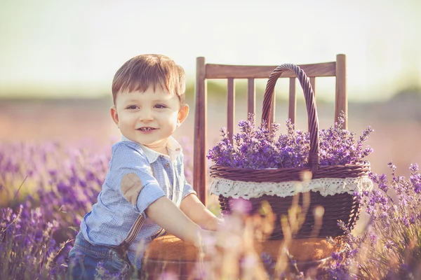 Kleiner modischer Junge hat Spaß im Lavendelfeld. — Stockfoto