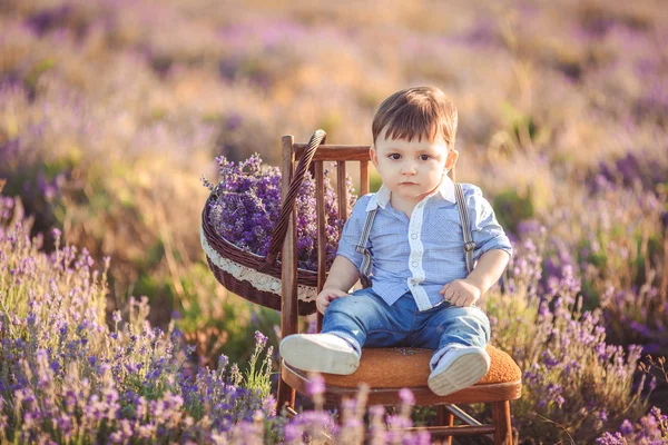 Kleiner modischer Junge hat Spaß im Lavendelfeld. — Stockfoto