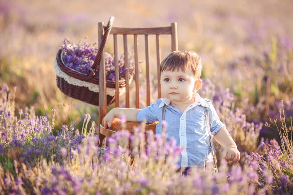 Modieuze jongetje met plezier in lavendel zomer veld. — Stockfoto