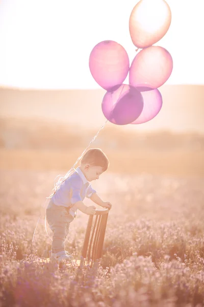 Lilla fashionabla pojke ha kul i lavendel sommaren sätter. — Stockfoto