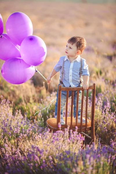 Kleiner modischer Junge hat Spaß im Lavendelfeld. — Stockfoto