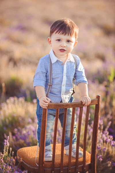 Poco chico de moda divirtiéndose en el campo de verano de lavanda . —  Fotos de Stock