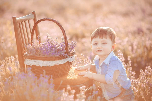 Poco chico de moda divirtiéndose en el campo de verano de lavanda . — Foto de Stock