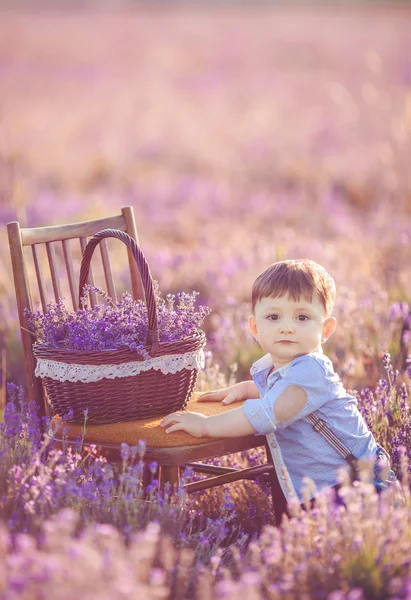 Little fashionable boy having fun in lavender summer field. — Stock Photo, Image