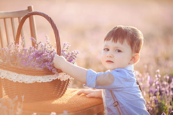 Pequeno menino da moda se divertindo no campo de verão de lavanda . — Fotografia de Stock