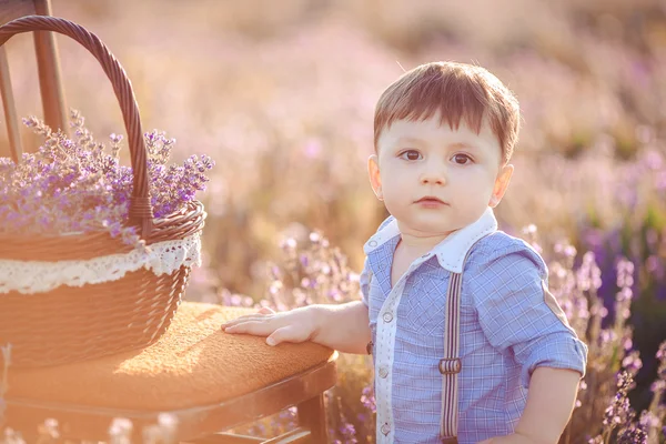 Pequeno menino da moda se divertindo no campo de verão de lavanda . — Fotografia de Stock