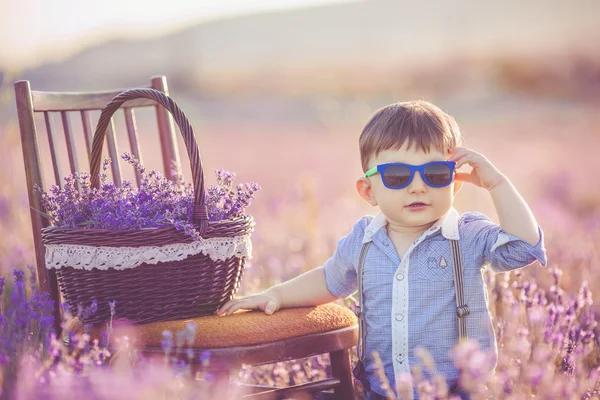 Lilla fashionabla pojke ha kul i lavendel sommaren sätter. — Stockfoto