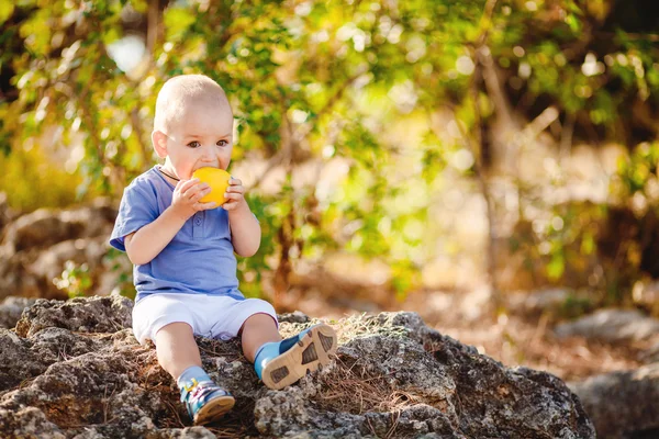 Toddler chłopiec spaceru w parku latem odkryty — Zdjęcie stockowe