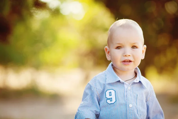 Porträt eines kleinen Jungen beim Spazierengehen im Sommerpark — Stockfoto