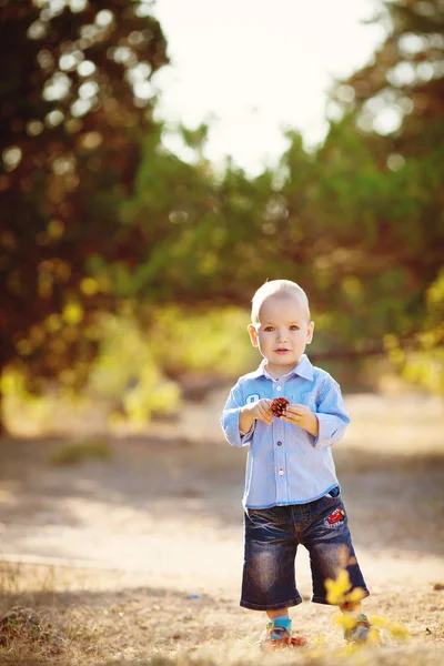 Retrato de un niño caminando en el parque de verano — Foto de Stock