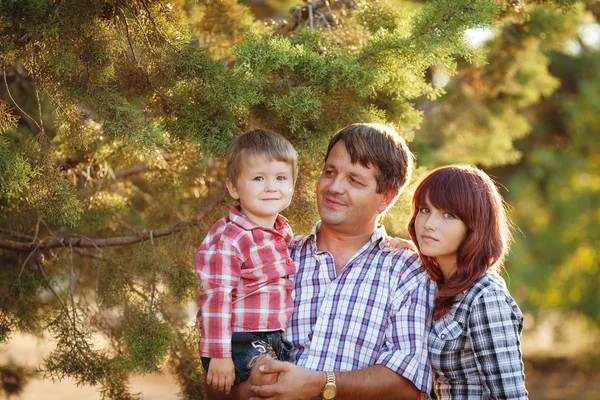 Young family walking in the summer park Stock Image