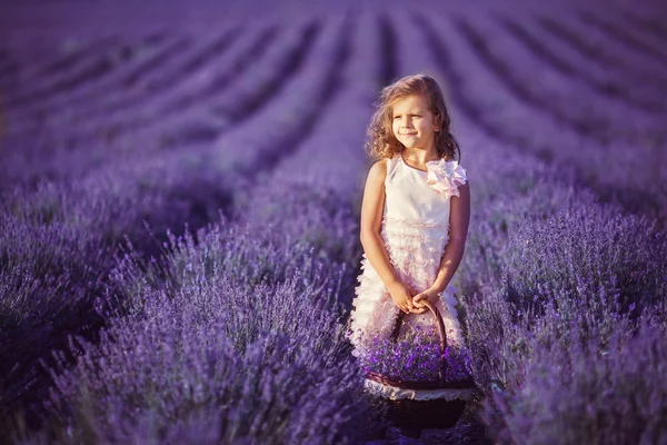Usmívající se dívka čichání květy levandule pole — Stock fotografie