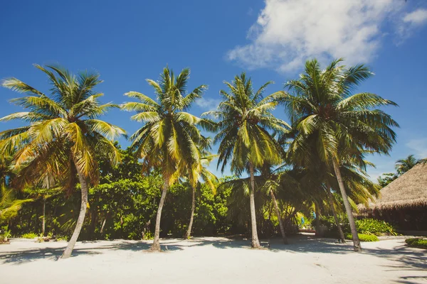 Landschaft tropischer Inselstrand mit perfektem Himmel, Palmen, traditionellen Gebäuden — Stockfoto