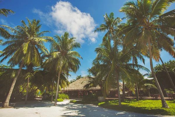 Paisaje de playa isla tropical con cielo perfecto, palmeras, edificios tradicionales — Foto de Stock