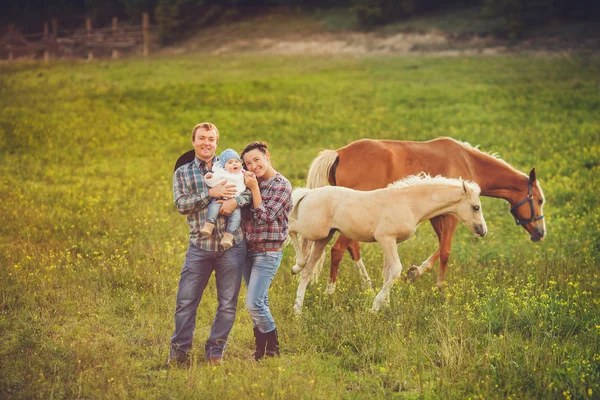 Szczęśliwa rodzina dobra zabawa z końmi na zewnątrz na zielone pole na letnie dni — Zdjęcie stockowe