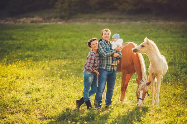 Familia feliz divirtiéndose con caballos al aire libre en el campo verde en el día de verano — Foto de Stock