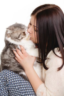 Beyaz arka planı izole kedi, elinde güzel bir genç kadın