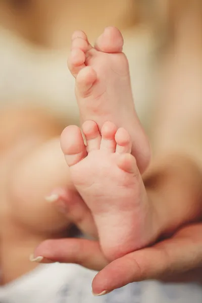 Patas de bebé. Piernas recién nacidas en la mano de los padres. Pies de bebé . —  Fotos de Stock