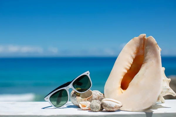 Sommaren koncept med solglasögon och musselskal på sand — Stockfoto