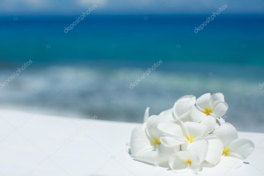 Tropical jasmine flowers (Plumeria)
