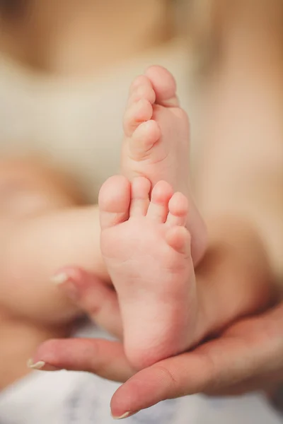 Des jambes de bébé. Jambes nouveau-né dans la main des parents. Pieds infantiles . — Photo